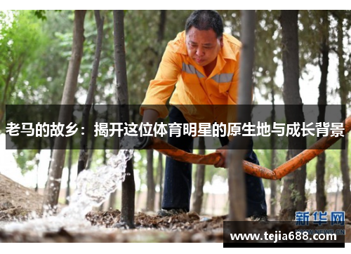 老马的故乡:揭开这位体育明星的原生地与成长背景 老马的故乡:揭开这位体育明星的原生地与成长背景