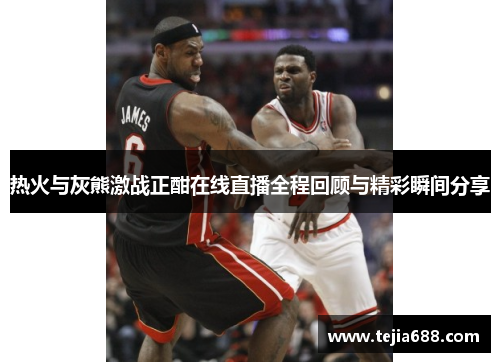 热火与灰熊激战正酣在线直播全程回顾与精彩瞬间分享